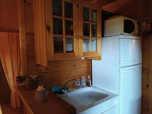 La cuisine est équipée d'un réfrigérateur blanc et d'un four micro-ondes. dans l'établissement GITE DE KATE, à Albières