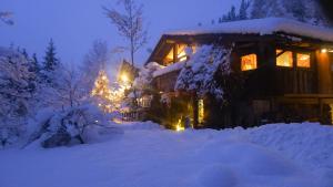 Obiekt Luxus Chalet Mühlermoos zimą