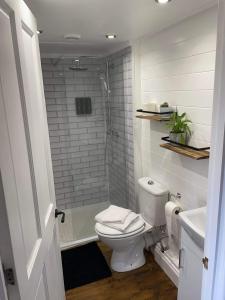 a white bathroom with a toilet and a shower at Cosy cabin in Annie’s meadow in West Meon