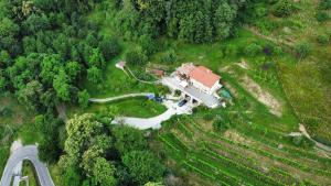 eine Luftansicht eines Hauses inmitten eines Waldes in der Unterkunft Locazione turista Cocodè in Miane