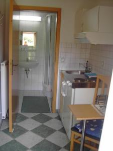 a small kitchen with a sink and a shower at Mini-1-Raum-Apartment mit eigenem Eingang in Bad Doberan