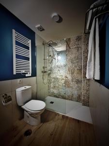 uma casa de banho com um WC e um chuveiro em Casa de las Lías em Chinchón