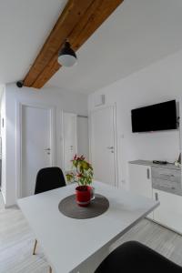 Telewizja i/lub zestaw kina domowego w obiekcie Hill apartman - MAKSIMIR Rebro
