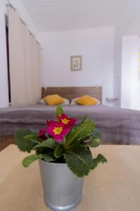 a potted plant sitting on a table in a bedroom at Hill apartman - MAKSIMIR Rebro in Zagreb