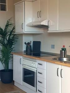 A kitchen or kitchenette at Chacorche 3