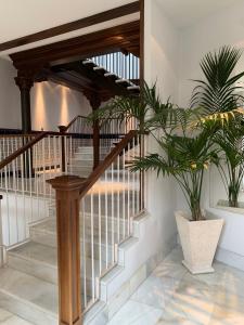 a staircase in a house with two potted plants at TARASKA BARRIA. Céntrico y coqueto en zona tranquila in Bermeo