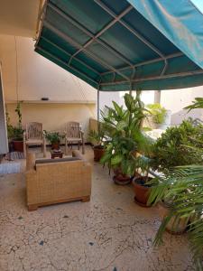 un soggiorno con divano e un mucchio di piante di Appartement sympathique Jules Ferry. a Dakar