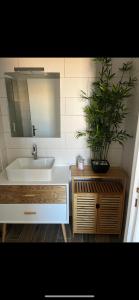 a bathroom with a sink and a potted plant at Rooftop Standing Place Carnot in Carcassonne