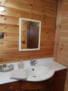 Koupelna v ubytování בקתת עץ בחורש במנות - דום גיאודזי - Wooden cabin in Manot