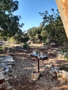 Zahrada ubytování בקתת עץ בחורש במנות - דום גיאודזי - Wooden cabin in Manot