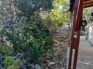 Zahrada ubytování בקתת עץ בחורש במנות - דום גיאודזי - Wooden cabin in Manot