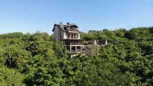 a house on top of a hill in the trees at Mavisu Deluxe Butik Otel in Trabzon