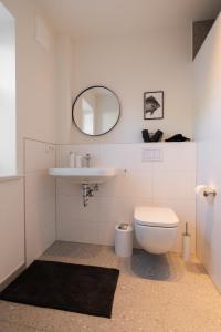 a bathroom with a toilet and a sink and a mirror at Moderne Ferienwohnung in Nordseenähe (Butze #2) in Mildstedt