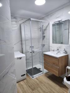 een badkamer met een douche, een wastafel en een toilet bij Estudio con vistas a la ciudad in Ourense