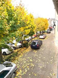 un gruppo di auto parcheggiate su una strada alberata di Apt 67m2 hyper centre: 2 chambres, cuisine TV wifi a Fontenay-le-Comte