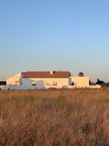 a house in the middle of a field at Casa da Courela in Cavaleiro