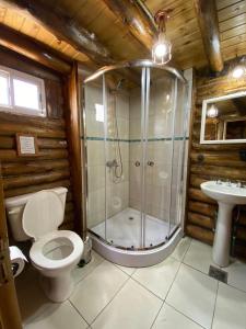 uma casa de banho com um chuveiro, um WC e um lavatório. em Mirador de Montaña em Luján de Cuyo