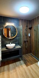 a bathroom with a sink and a mirror and a shower at Tölgyeserdő Birtok rendezvényhelyszín Kaba in Kaba