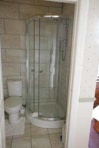 a bathroom with a shower and a toilet at Bellevue Guest House in Kelso
