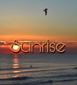 un pájaro volando sobre el océano con la palabra amanecer en Sunrise en Margherita di Savoia