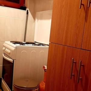 a small kitchen with a stove and a toilet at Oaza Mira- kuca sa bazenom in Pale