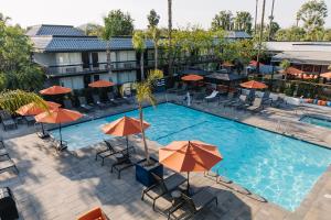 Bazén v ubytování Palm Garden Hotel nebo v jeho okolí