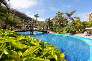 Kolam renang di atau dekat dengan Bahia Principe Sunlight San Felipe +37 gambar