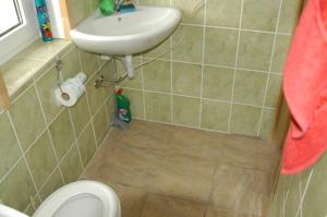 a small bathroom with a sink and a toilet at Atpūtas vieta Upes Sausītes in Sidrabiņi +115 photos