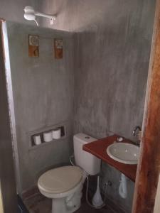 a small bathroom with a toilet and a sink at Vila Sincorá - Chalé para 4 pessoas com cozinha a 2 km da portaria da Cachoeira do Buracão in Ibicoara