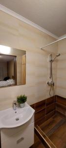 y baño con lavabo y ducha. en Park 84 Vendégház en Vecsés