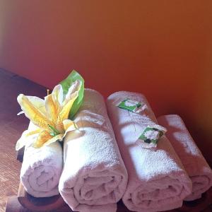 three towels with a flower on top of them at Pousada Moinho De Vento in Bonito