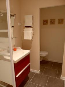 a bathroom with a sink and a toilet at L'Eden de Floridylle in Xonrupt-Longemer