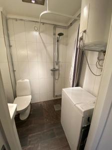 a small bathroom with a toilet and a sink at Villa Gasabäck in Söråker