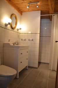 y baño con aseo, lavabo y espejo. en Kastanjegården på Stenshuvud en Kivik