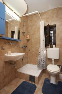a bathroom with a toilet and a sink and a shower at Apartments with parking space Ravni, Labin - 7661 in Ravni