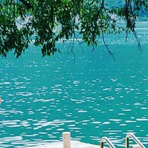 Φυσικό τοπίο κοντά σε αυτό το διαμέρισμα