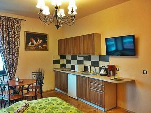 cocina con fregadero y encimera en Mozart Apartments, en Cluj-Napoca