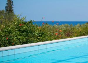 The swimming pool at or close to Hersonissos Maris
