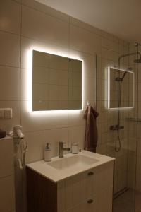 uma casa de banho com um lavatório, um espelho e um chuveiro em Aleksi Apartments em Tartu