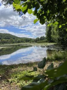 a view of a lake with trees and clouds at Ferienhaus 1 - a68756 in Sondershausen