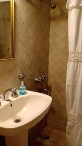 a bathroom with a sink and a shower at Acogedora Habitación individual, privada y luminosa en Mendoza in Mendoza