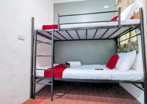 ein Schlafzimmer mit einem Etagenbett mit einer Leiter in der Unterkunft RedDoorz near KCC Mall Gensan in General Santos