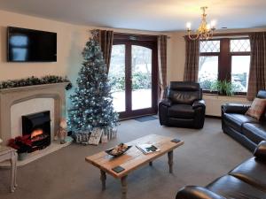 a living room with a christmas tree and a fireplace at Trebor Cottage in Annan