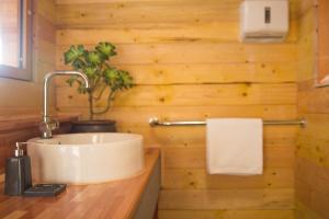 La salle de bains est pourvue d'un lavabo et d'une plante en pot. dans l'établissement Apartments Wolkentor, à Halle-sur-Saale