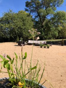 Fotografia z galérie ubytovania Superb Chateausuites with pool at the Loire & horseboxes for 20 guests v destinácii Poilly-lez-Gien