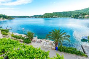 a view of a large body of water with palm trees at Villa Kukuljica in Zaton