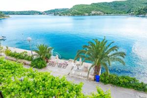 a view of a body of water with palm trees at Villa Kukuljica in Zaton