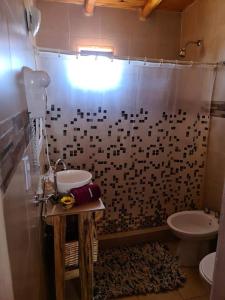 y baño con ducha, lavabo y aseo. en La Comarca en Uspallata