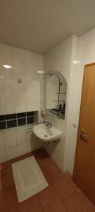 a bathroom with a sink and a mirror at Einzimmerwohnung mit Parkplatz ohne Küche in Bischweier +10 photos
