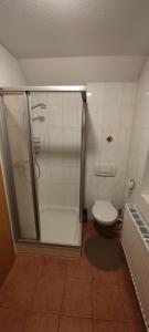 a bathroom with a shower and a toilet at Einzimmerwohnung mit Parkplatz ohne Küche in Bischweier